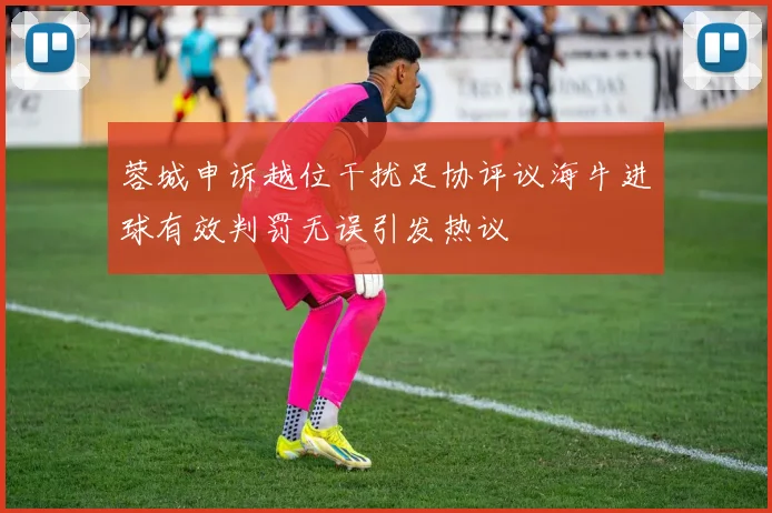 蓉城申诉越位干扰足协评议海牛进球有效判罚无误引发热议