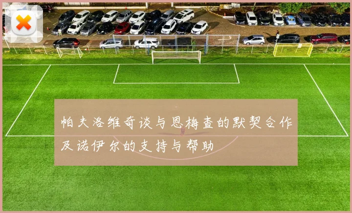 帕夫洛维奇谈与恩梅查的默契合作及诺伊尔的支持与帮助